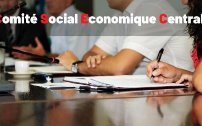 Comité Social Economique Central